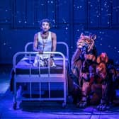 Life Of Pi (West End cast) - pic by Johan Persson