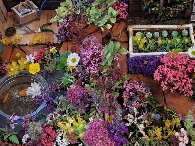 Second prize winner for miniature garden