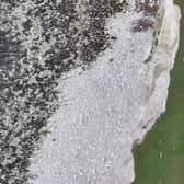 There has been another cliff fall on the border of Saltdean and Telscombe