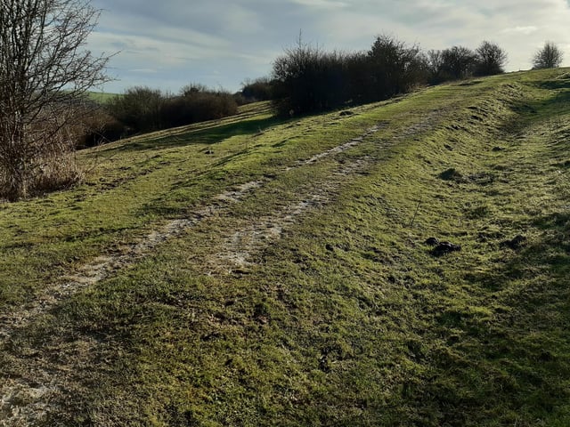 Make sure you stick to the wider path, seen here to the right, and don't veer off when another path appears on the left.