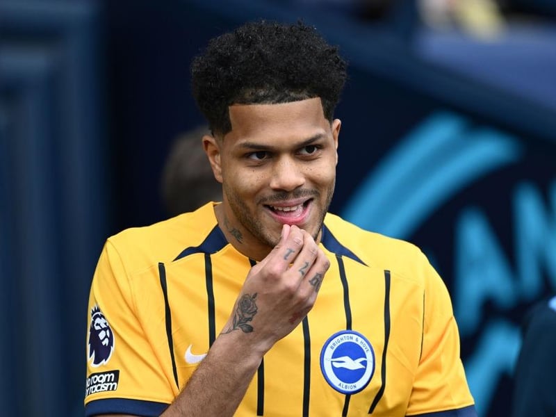The £40m playmaker suffered an ankle injury at the back end of last season and should return fit and firing. A key man for Hurzeler and should link well with Albion's new Greek strike force