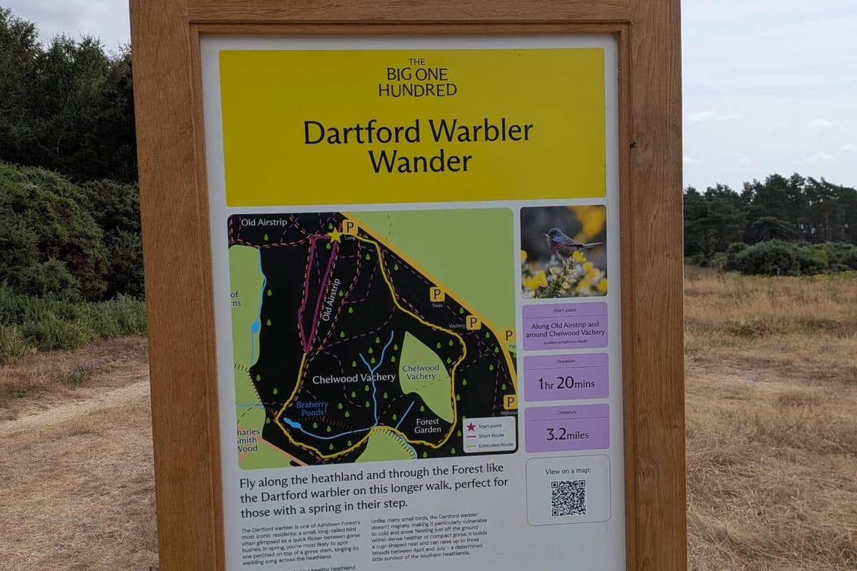 New walks created at iconic Sussex forest