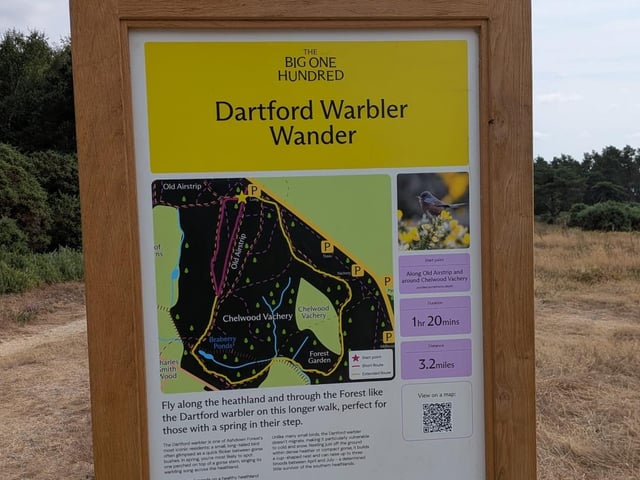 Six new walks created at Ashdown Forest