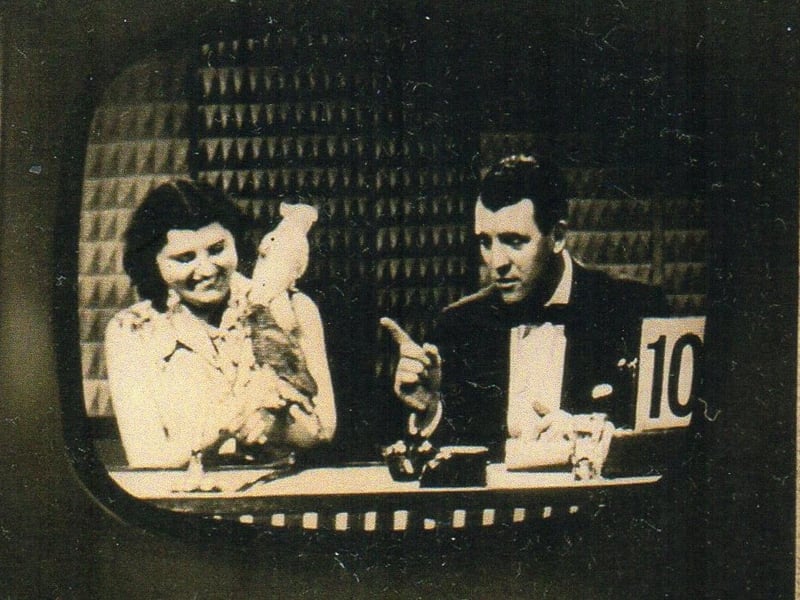 Elizabeth on television. Photo: contributed
