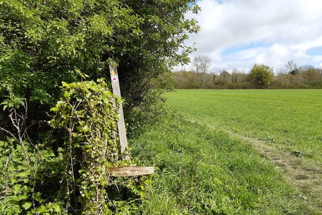 Go past this old stile, where you turn left to follow the yellow-arrowed signpost.