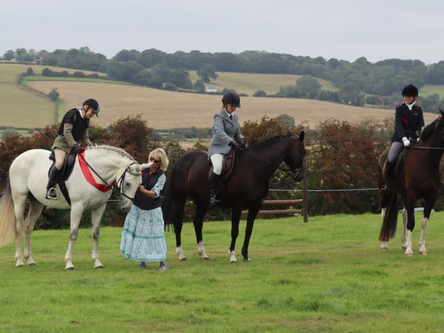 Rye and District Country Show