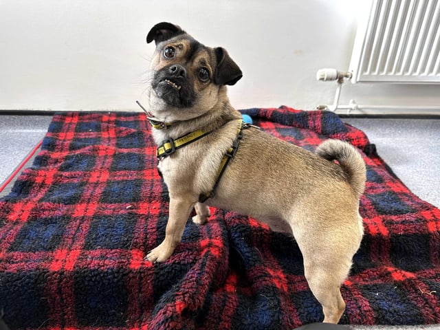 Milo
