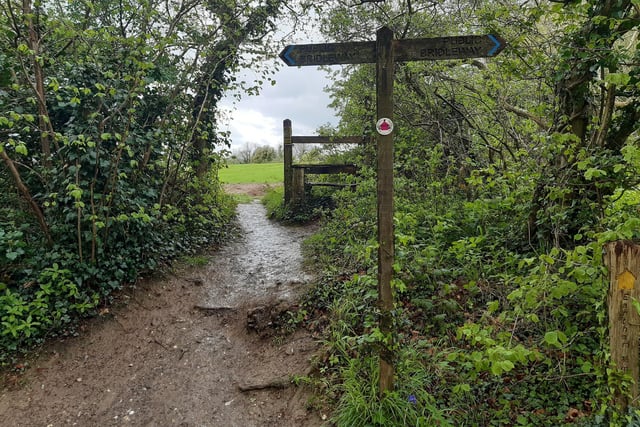Follow the path, looking out for this signpost and the old stile, where you need to turn to go back round the field.