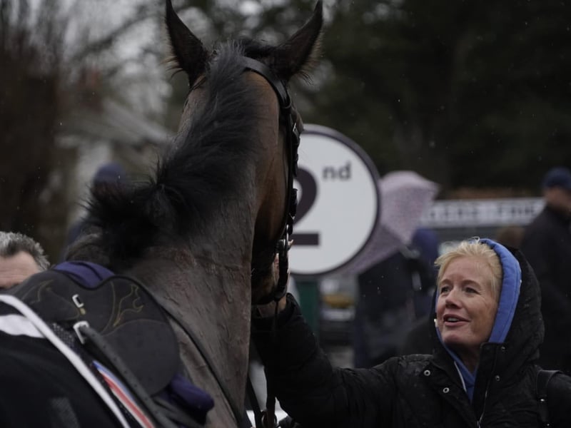 National Spirit Hurdle race day 2025 at Fontwell Park