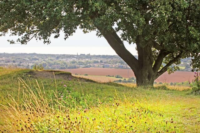 Highdown Hill – Head up to Highdown Hill in Worthing for a run around and maybe add in a visit to Highdown Gardens