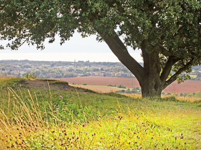 Highdown Hill – Head up to Highdown Hill in Worthing for a run around and maybe add in a visit to Highdown Gardens