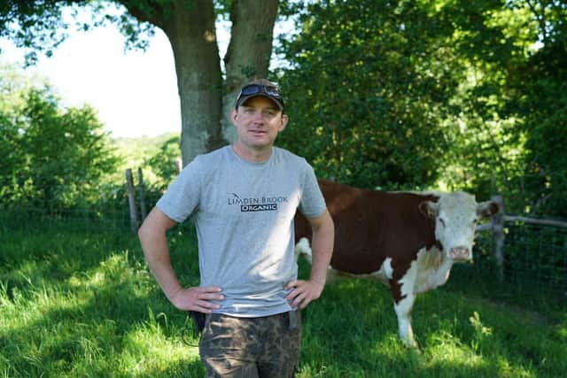 Etchingham cattle farm restoring nature and producing nutrient rich food