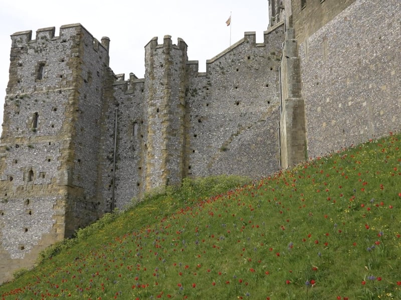 More fantastic photos of the Arundel Castle Tulip Festival