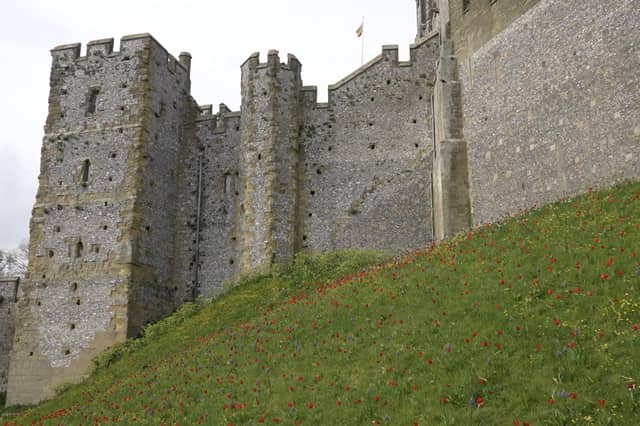 More fantastic photos of the Arundel Castle Tulip Festival