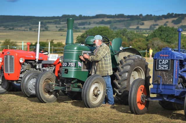 Rye and District Country Show 2022