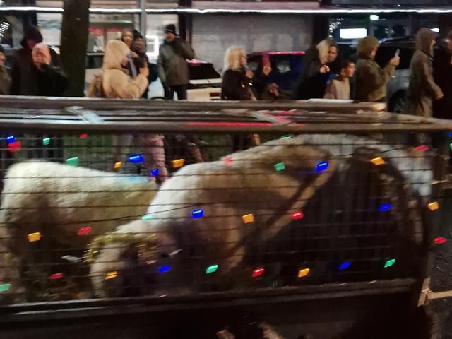 The Arundel Illuminated Tractor Run 2025 in Rustington, which it was visiting for the first time