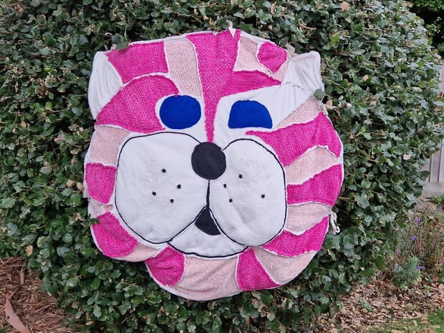 Ferring Scarecrow Festival 2026 features 127 scarecrows, the biggest yet, and Wadars Animal Rescue is the chosen charity this year