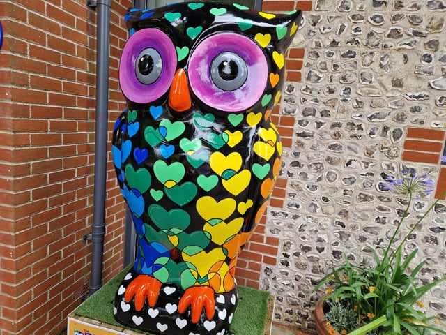 Colourful owls have flown into Arundel as part of the Wild in Art event The Big Hoot trail, raising money for Chestnut Tree House.