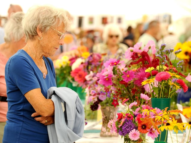 Emsworth Show took place on bank holiday Monday, August 26 Picture: Sarah Standing (260824-5571)