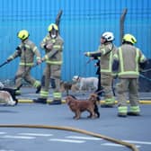 Eleven dogs were helped to safety as firefighters tackled a major blaze, involving two industrial buildings in Lancing. Photo: Eddie Mitchell
