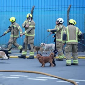 Eleven dogs were helped to safety as firefighters tackled a major blaze, involving two industrial buildings in Lancing. Photo: Eddie Mitchell