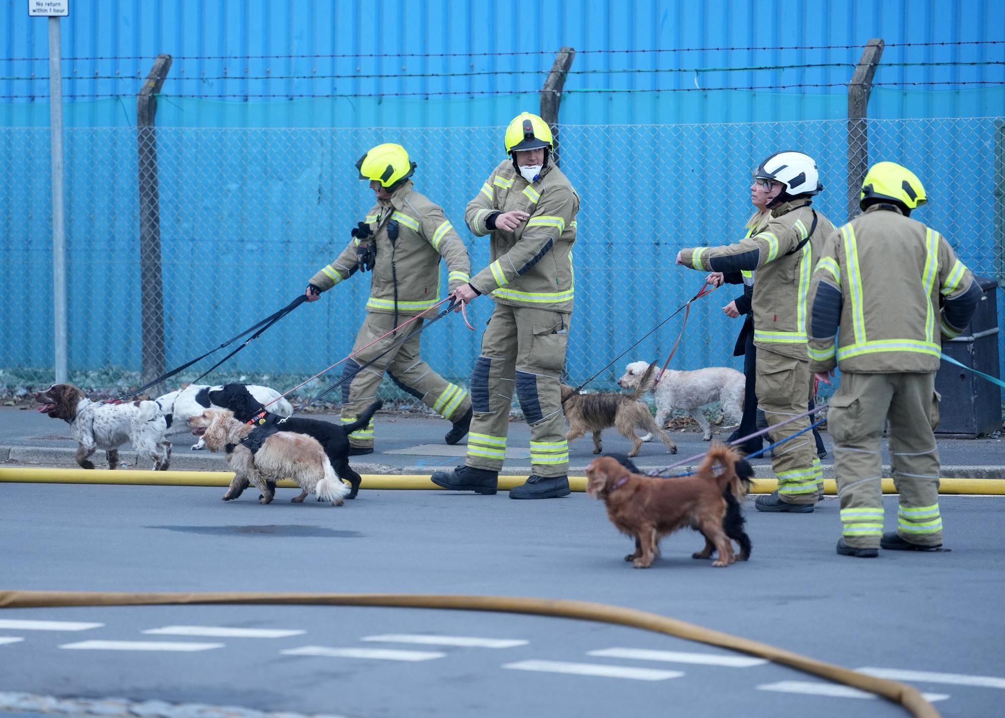 Eleven dogs helped to safety during major fire at Lancing Business Park