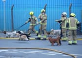 Eleven dogs were helped to safety as firefighters tackled a major blaze, involving two industrial buildings in Lancing. Photo: Eddie Mitchell