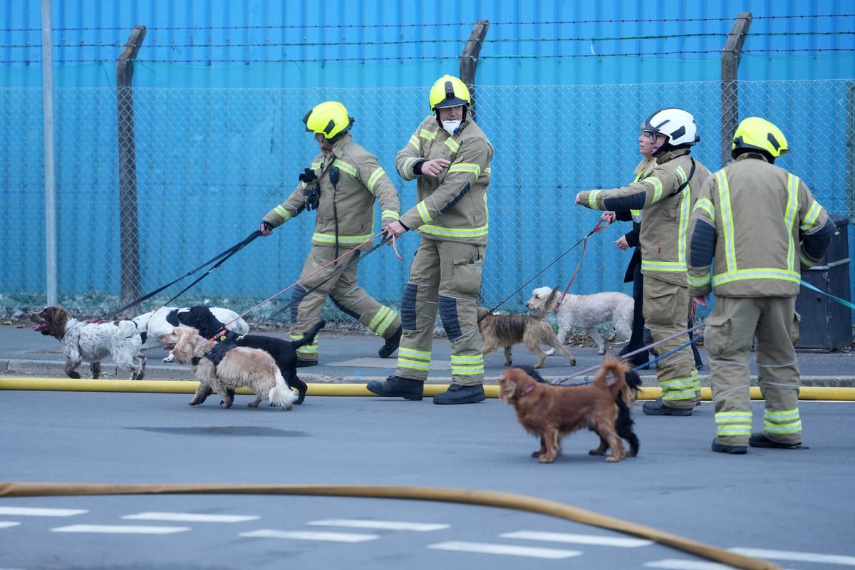 Eleven dogs helped to safety during major fire at Lancing Business Park