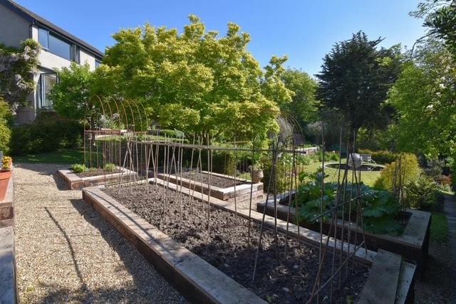 Raised vegetable garden