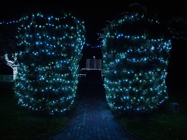 Westfield Christmas lights 2024. Photo by Frank Copper. The event this year has been scaled back significantly.