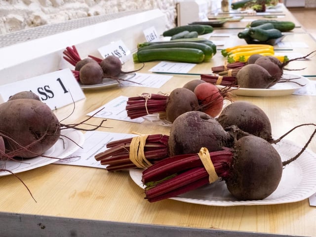 Vegetables on display at East Preston & Kingston Horticultural Society's annual flower show