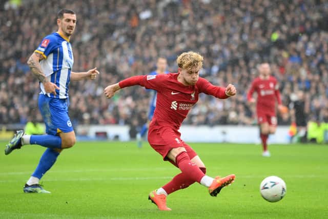 Harvey Elliott opened the scoring for Liverpool against Brighton. (Photo by Mike Hewitt/Getty Images)