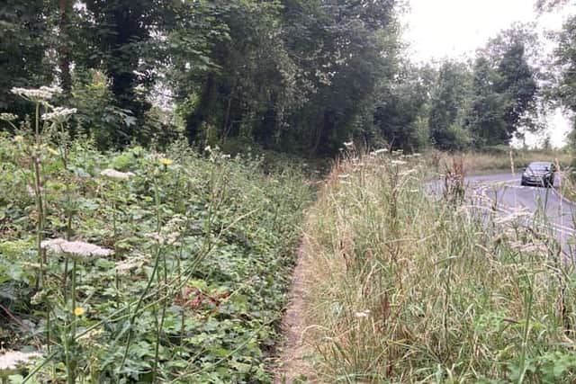 One local took to Facebook to criticise the policy, claiming that verges in the town were ‘messy and full of weeds’ which made junctions unclear and difficult to navigate. (credit: Michael Cotgrove)