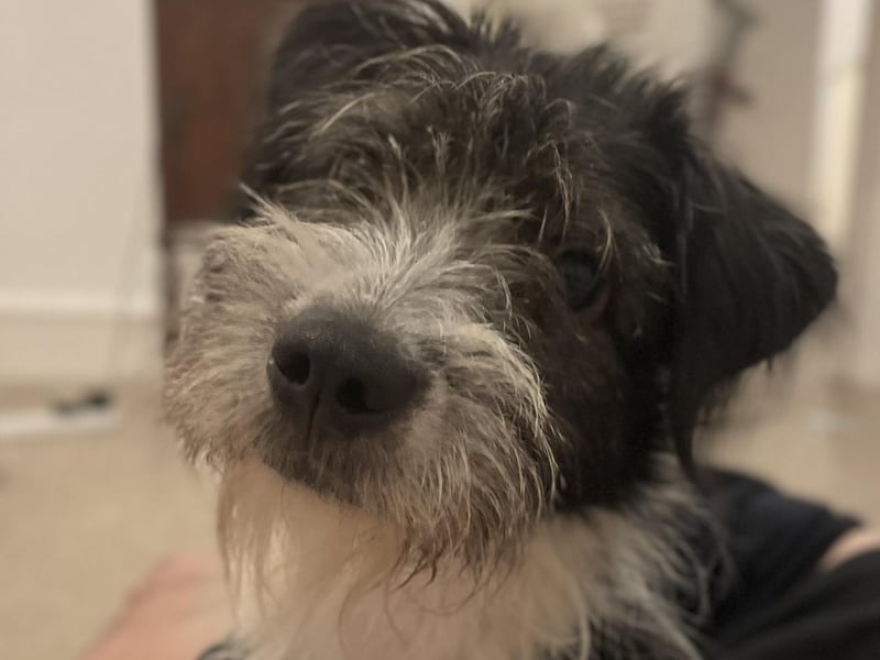 Arthur looking particularly handsome!