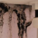 Excess moisture that gets trapped can create the perfect breeding ground for mould