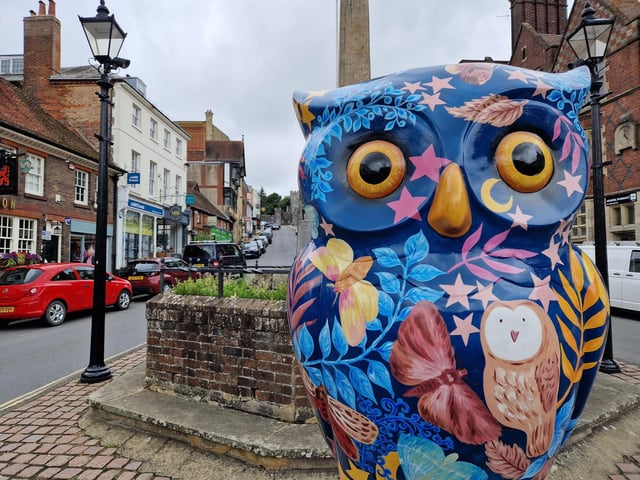 Colourful owls have flown into Arundel as part of the Wild in Art event The Big Hoot trail, raising money for Chestnut Tree House.