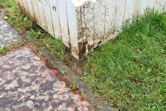 The council has apologised after grounds maintenance staff caused damage at children’s graves in Durrington Cemetery. Photo: Gemma Whittington