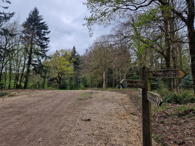 You will arrive at this big junction of footpaths and bridleways. Continue on the same wide path.