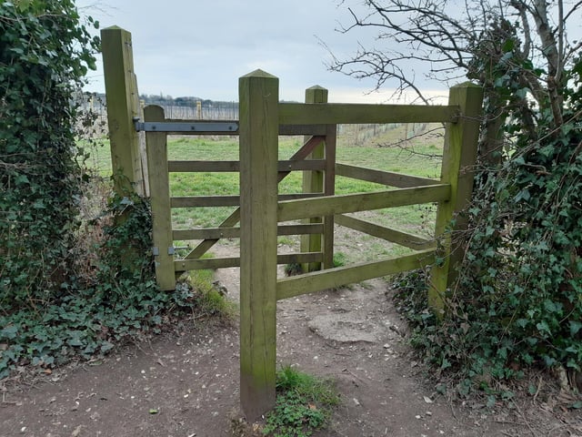 Pass through into the field and immediately turn right to follow the footpath, with the vines on your left.
