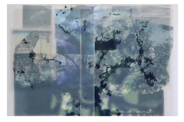 Magic Fish Tree: Limited edition signed A2 print by Sarah Chalkie Cloonan. Starting bid price £72