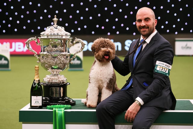 Javier Gonzalez Menicote from Croatia with Orca, a Lagotto Romagnolo, who won the coveted title of Best in Show.