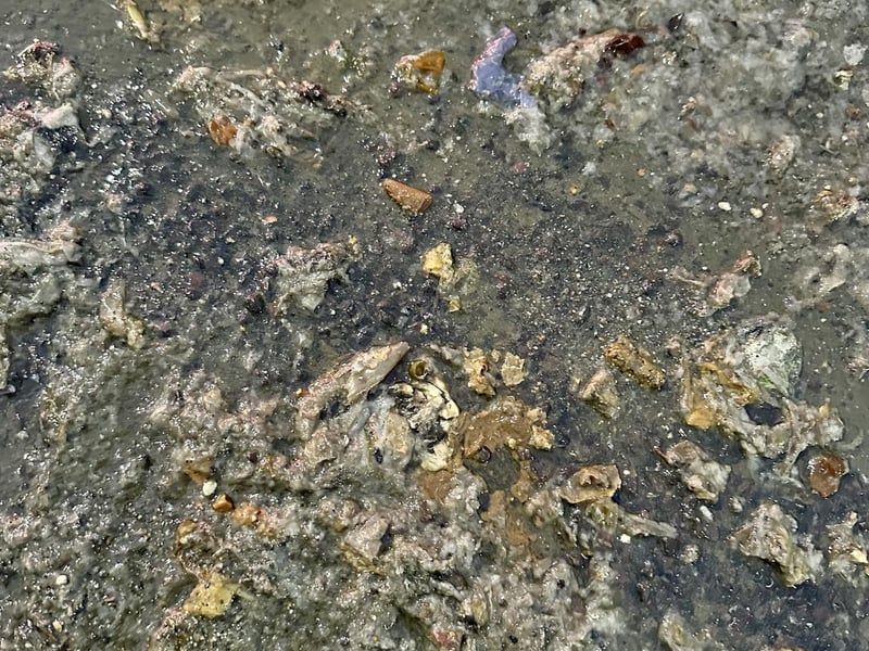 Southern Water has apologised to residents affected by a sewage leak in Southwick – with video footage showing 'raw excrement' covering local roads.