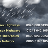 Pictured are phone numbers to call to remove fallen trees depending on the area.