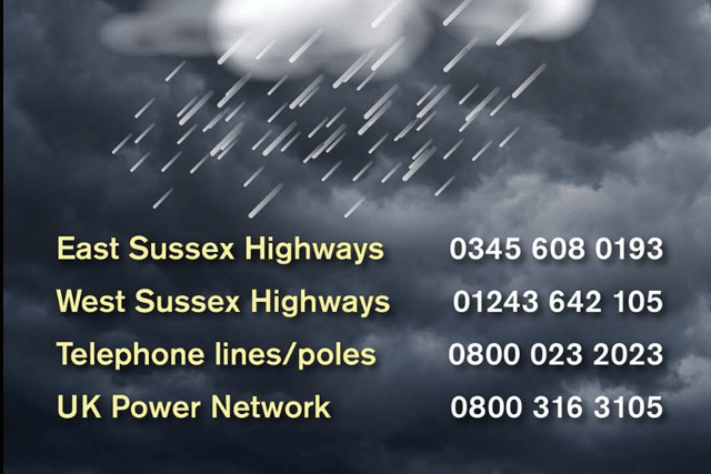 Pictured are phone numbers to call to remove fallen trees depending on the area.
