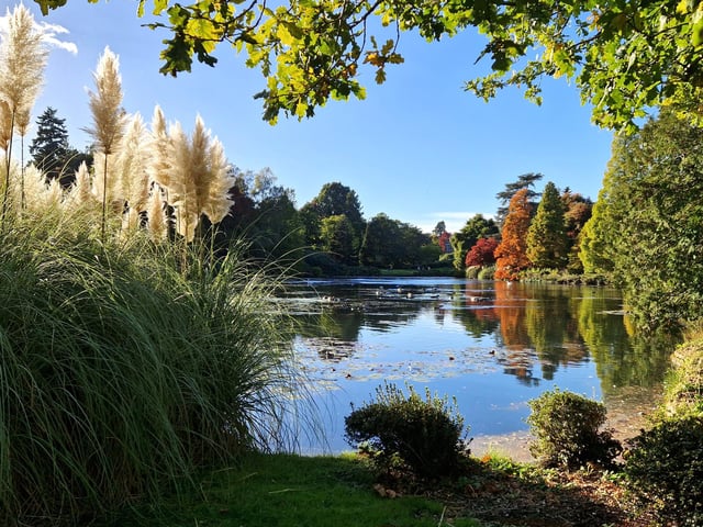 Vivid autumn colour at Sheffield Park and Garden. HR26102605 Pic Hollie Robards/Iconic Media Group