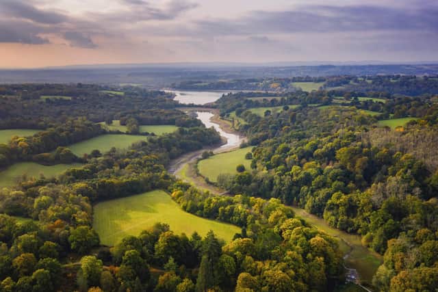 Wakehurst in Ardingly has been forced to close its Loder Valley Nature Reserve to combat ash dieback disease. Photo: RBG Kew