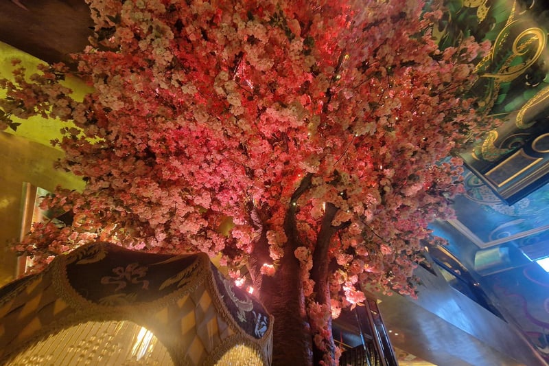 Cherry Blossom abounds at The Ivy Asia, Brighton