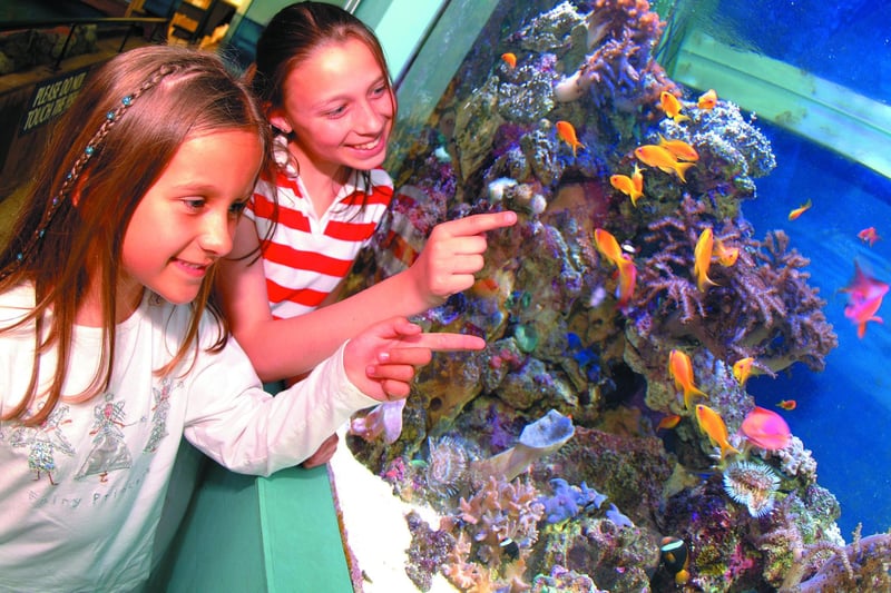 You can explore life under the sea at Blue Reef Aquarium whilst you hide from the weather. The Aquarium has an array of sea creatures such as clownfish, stingrays, crabs, otters and many more.