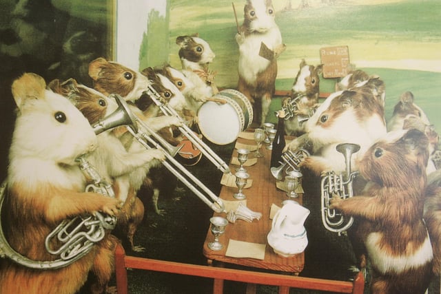 An animal band created by Walter Potter
