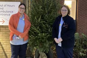 Staff at St Catherine's with a Christmas tree